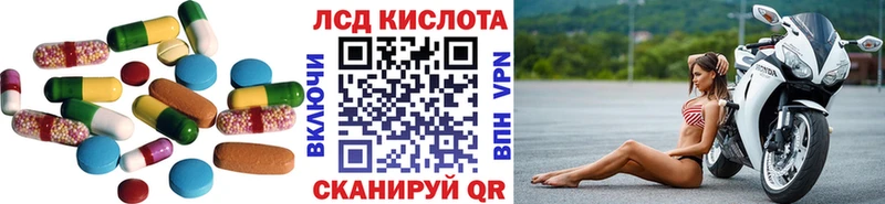 ссылка на мегу рабочий сайт  Новозыбков  ЛСД экстази кислота  наркошоп 
