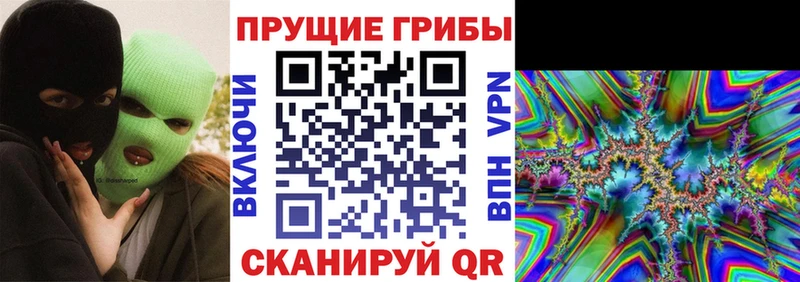 Галлюциногенные грибы Psilocybine cubensis что такое Новозыбков
