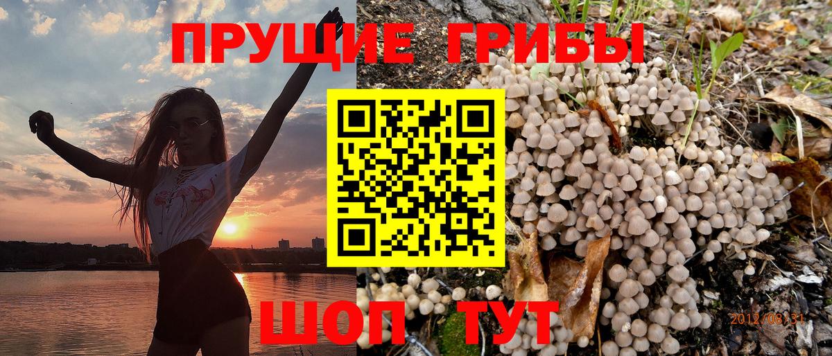 Hash Oil  Новозыбков  Марки  МАРИХУАНА  Cocaine  МЕФ  Гарик  Круглые  Вход с VPN  Мяу-Мяу 