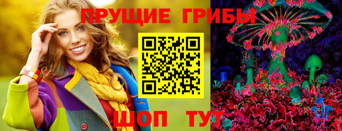 Псилоцибиновые грибы Cubensis Новозыбков