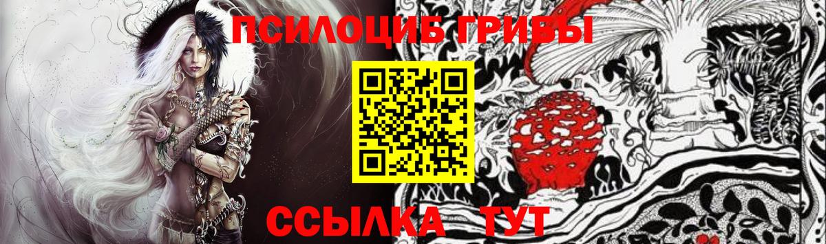 Новозыбков  Псилоцибиновые грибы GOLDEN TEACHER  Вход с VPN 
